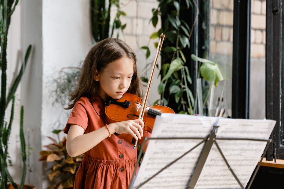 Violin buying guide: How to Choose the Perfect Instrument
