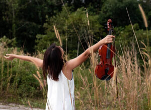 melodic-haven-for-violin-fans-blog-image